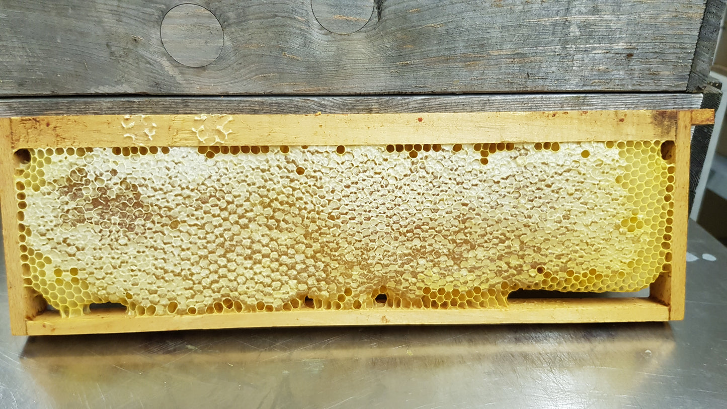 Wabenhonig (ganze Wabe)