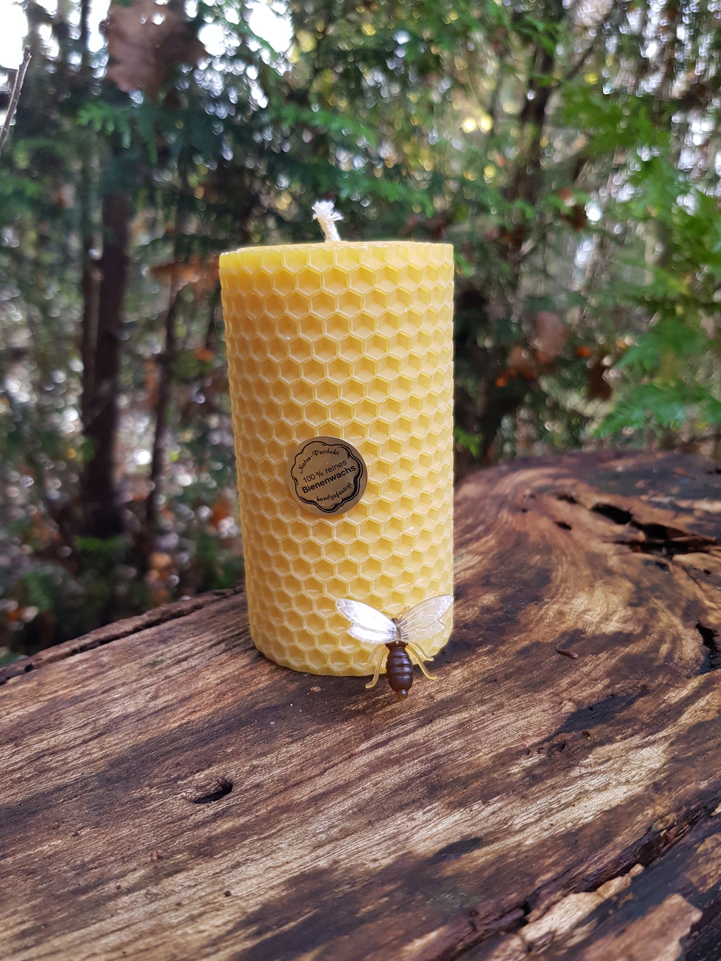 Gedrehte Bienenwachskerzen (9675170251098)