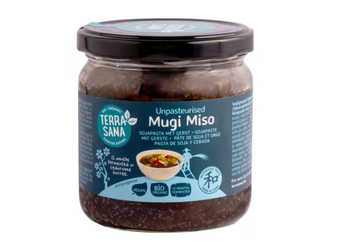 MugiMisounpast.imGlas-Terrasana