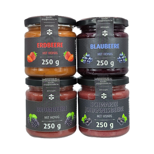 Frucht mit Honig 4'er set- Erdbeere, Blaubeere, Brombeere, Schwarze Johannesbeere im Set