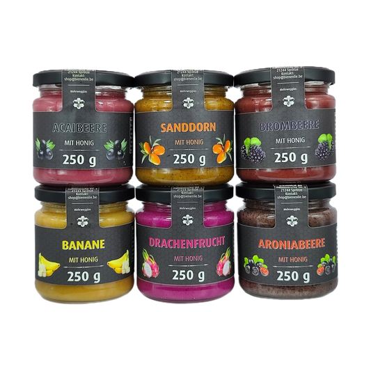 Honig mit Frucht 6er Set – Acaibeere, Sanddorn, Brombeere, Banane, Drachenfrucht & Aroniabeere | 6 × 250g
