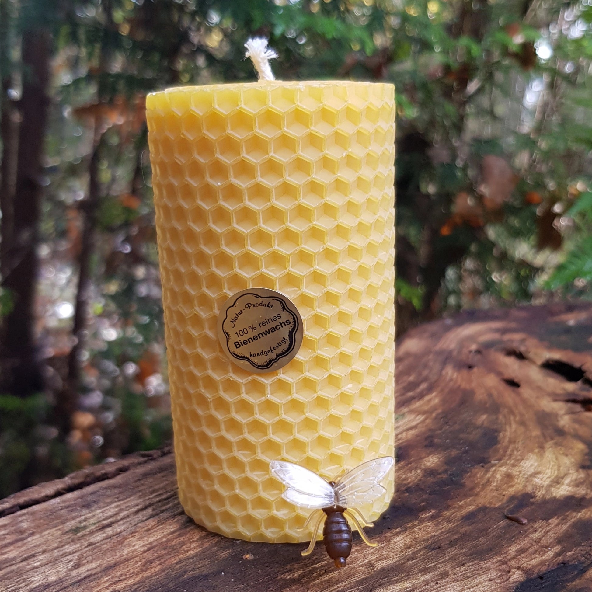 Bienenwachskerze-groß