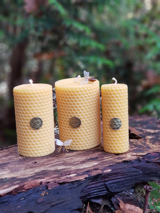 Gedrehte-Bienenwachskerzen-kaufen