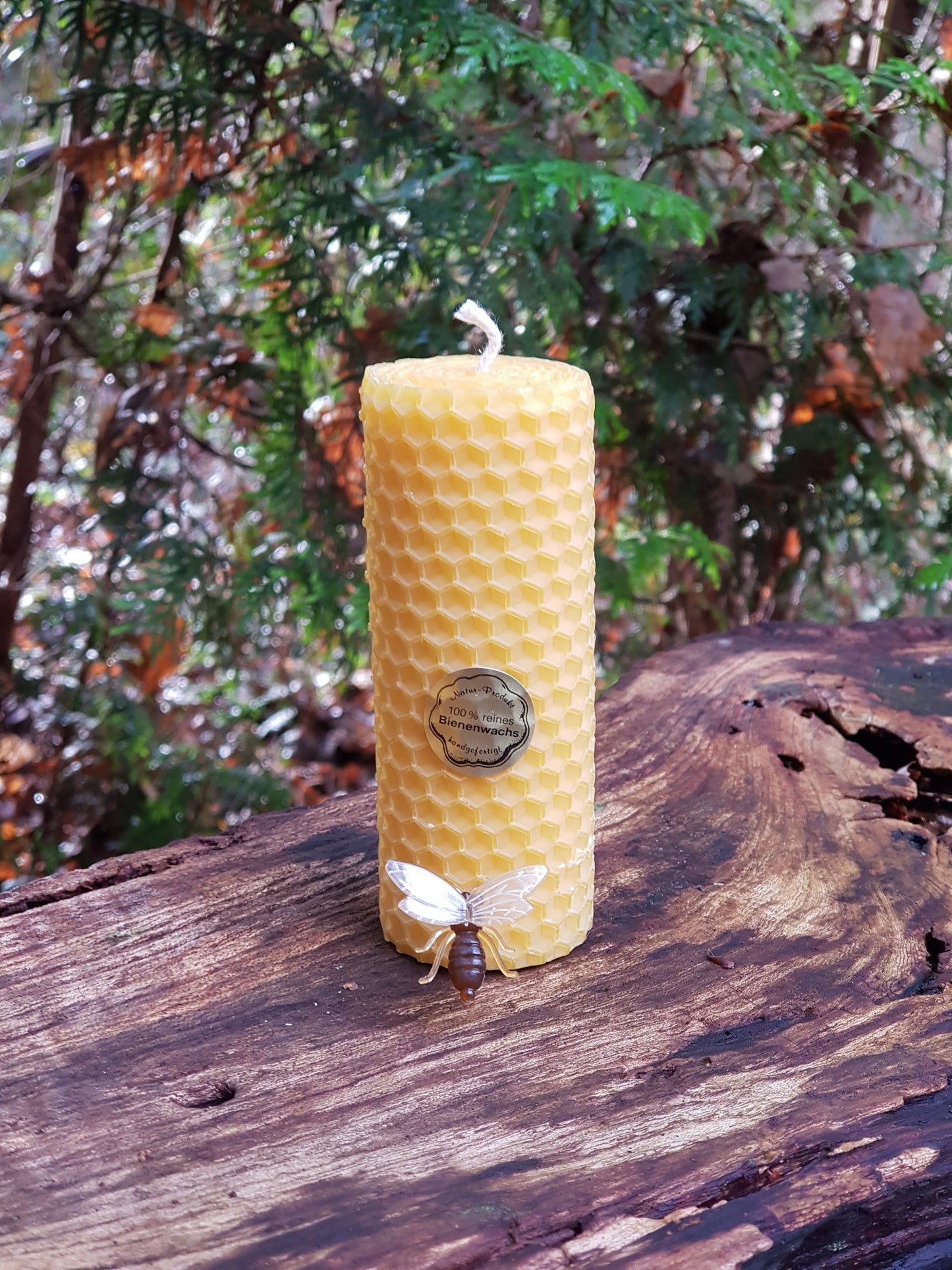 Gedrehte-Bienenwachskerze-klein