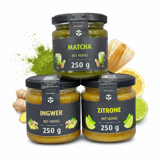Honig Wellness 3er Set – Matcha, Ingwer & Zitrone mit Honig | 3 × 250g