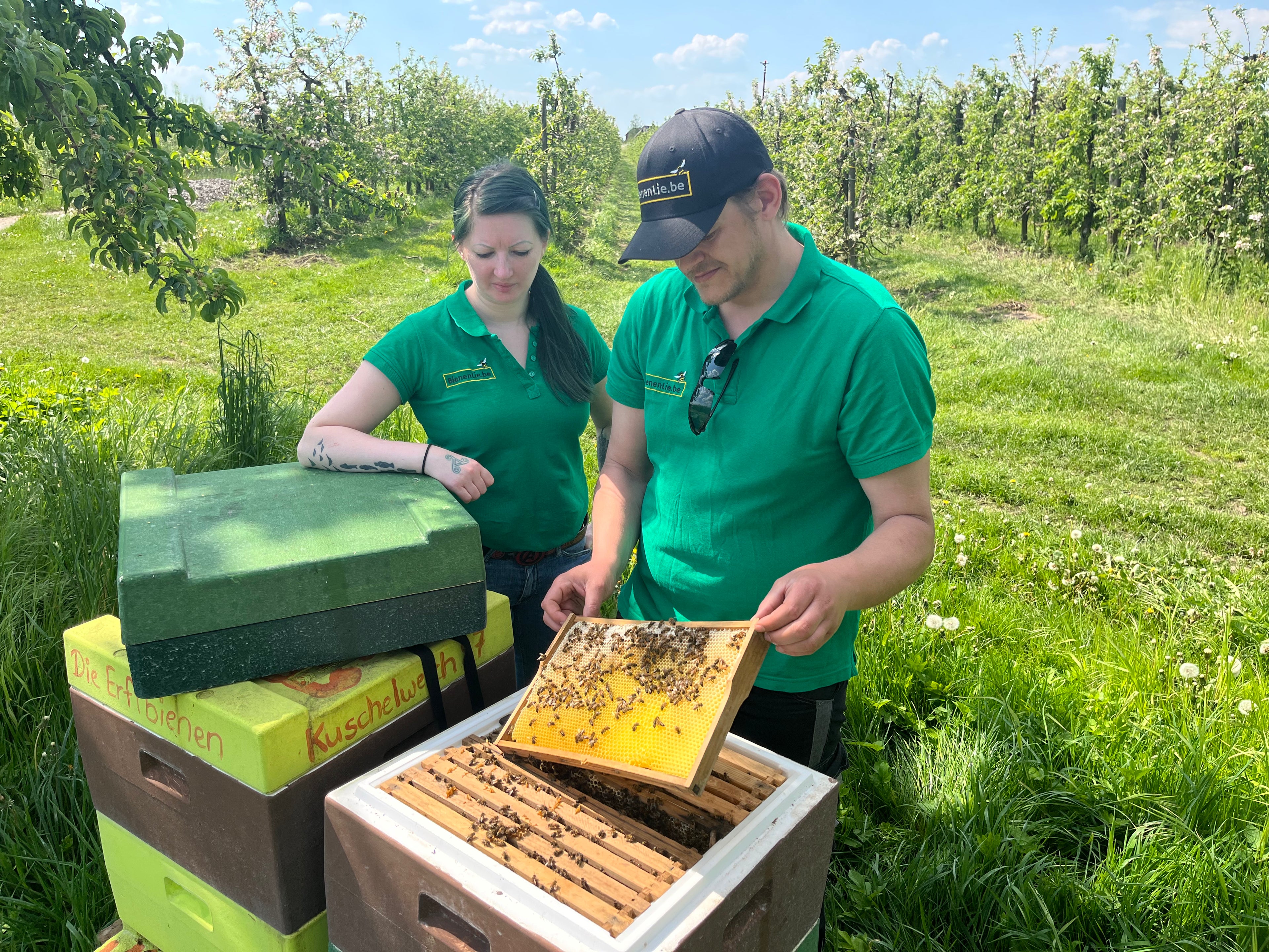 Video laden: Imagevideo der Imkerei BienenLie.be mit Einblicken in unsere Bienenhaltung und handwerkliche Verarbeitung