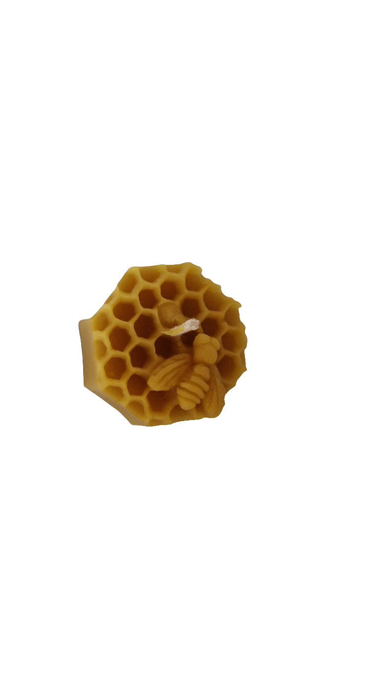 Kerze "Biene auf Wabe"