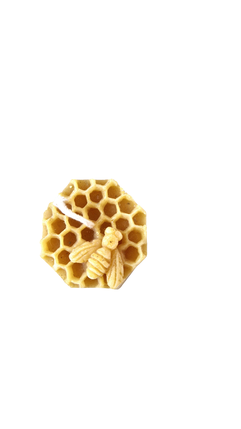 Kerze "Biene auf Wabe"