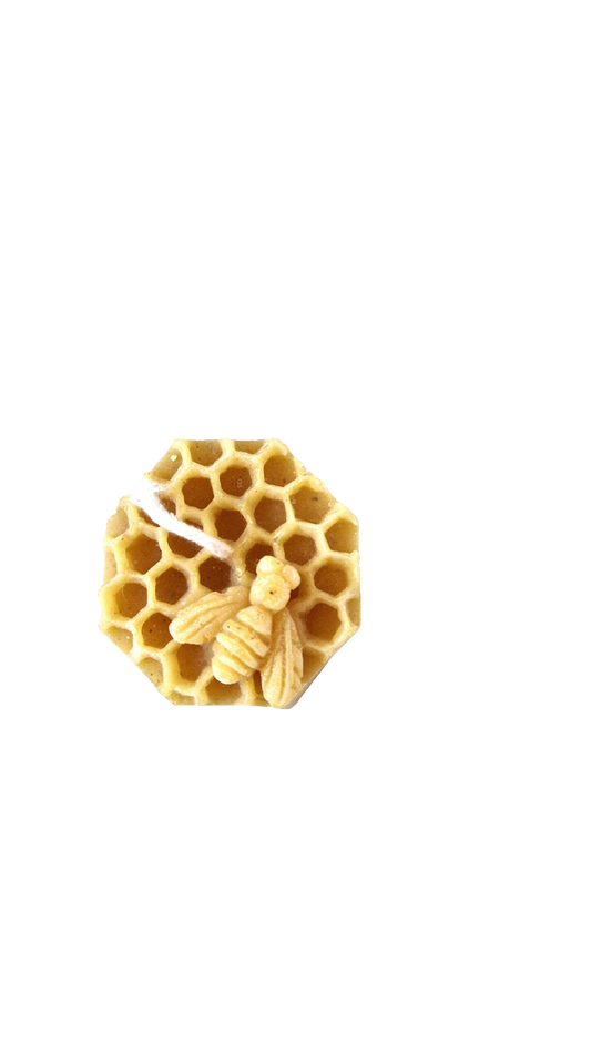 Kerze "Biene auf Wabe"