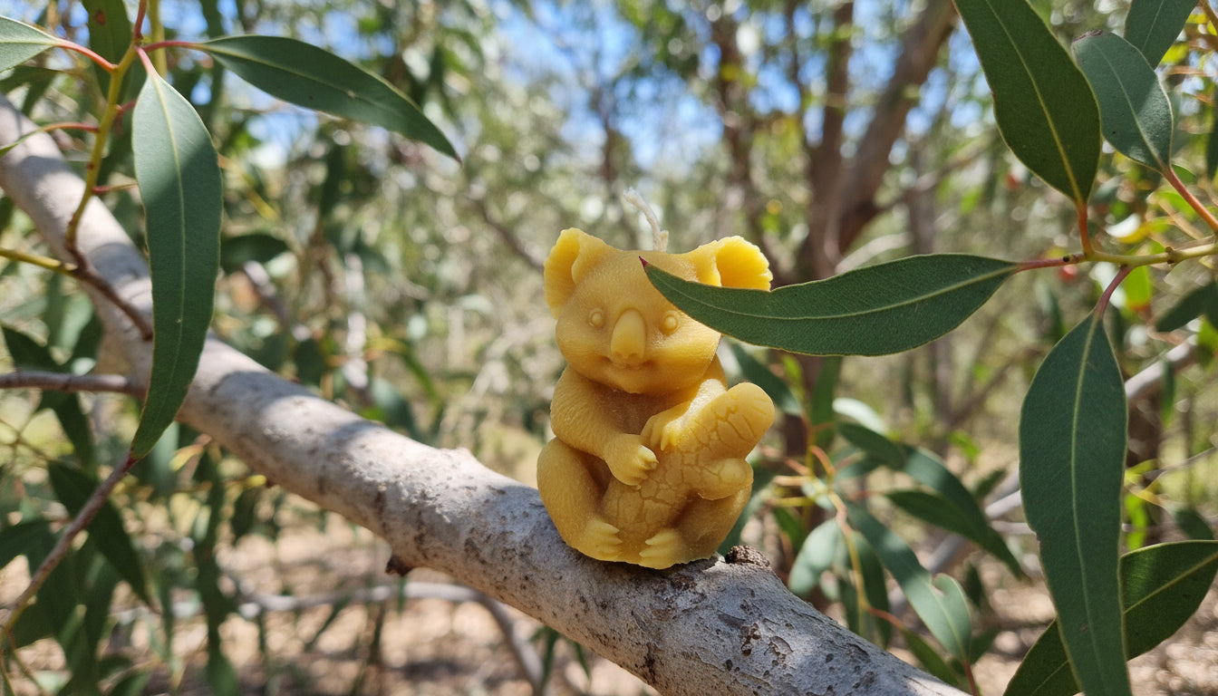 Kerze Koala