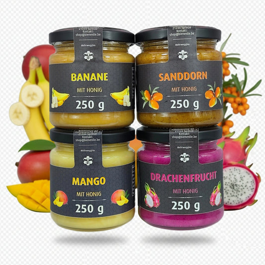 Honig mit Frucht 4er Set | Banane, Sanddorn, Mango & Drachenfrucht mit Honig | je 250g