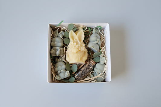 Geschenk-Set "HapBee Easter"