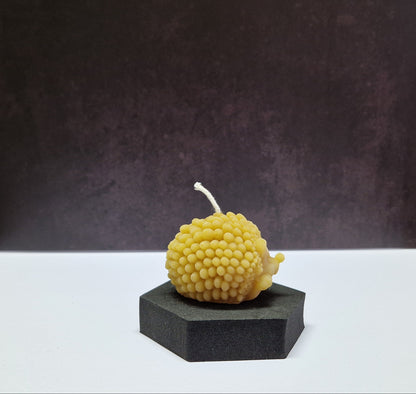 Kerze Winkender Igel