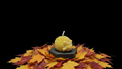 Kerze Winkender Igel